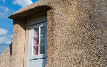 Haimwood thatch roof disadvantages